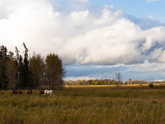 20131002-PA020139-1-2
