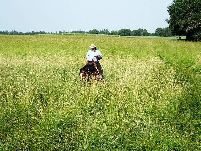 20170706-NHBlog2Old20160714-P7140088