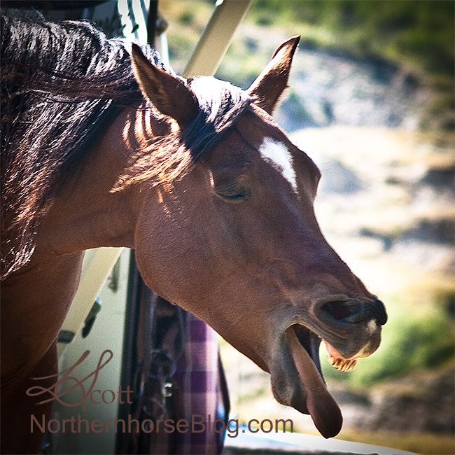 Yuck20080828-P8280097