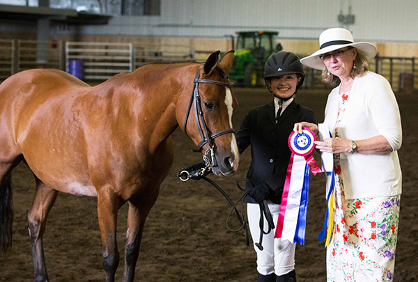 Berrylyn Alexi, 15-year-old Half-Welsh mare (Alvesta Folklore x TH Centrefold), 2017 Grand Champion Sport Pony and Half-Welsh breed class winner. Owner: Nancy Haverstock; handler: Eliza Haverstock. Michelle Walerius Photography.